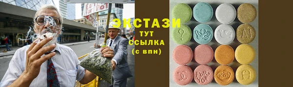 индика Волоколамск