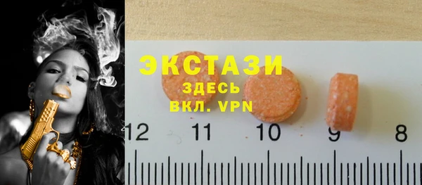 индика Волоколамск