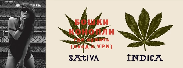 дживик Володарск