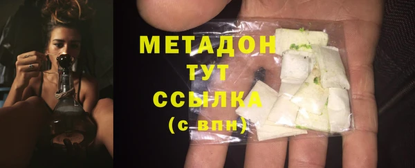 индика Волоколамск