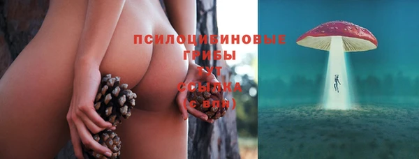дживик Володарск