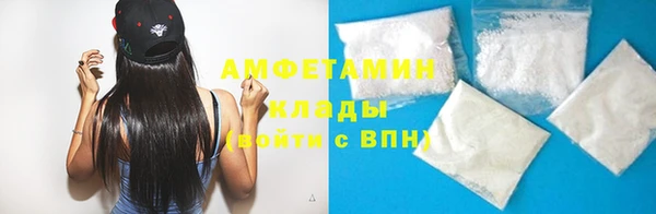 индика Волоколамск