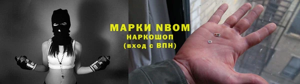 индика Волоколамск