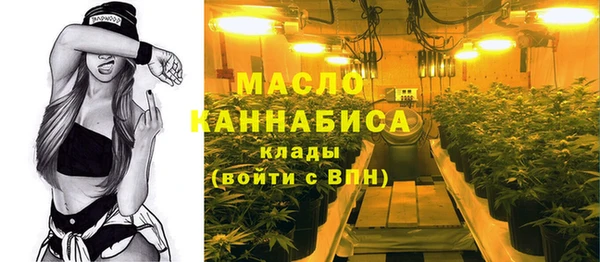 индика Волоколамск