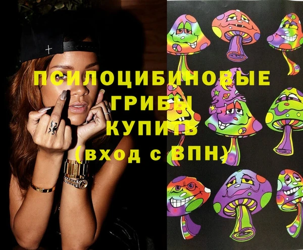 дживик Володарск