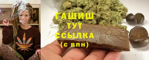 индика Волоколамск