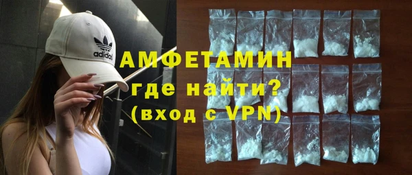 индика Волоколамск