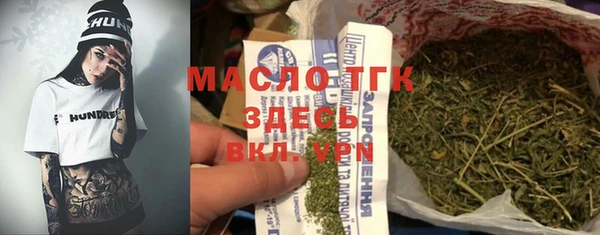 индика Волоколамск