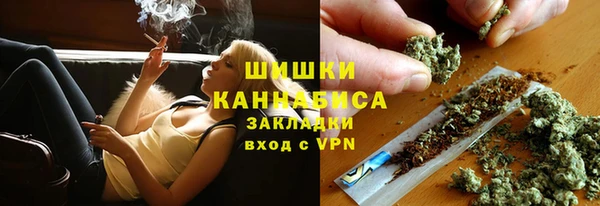 дживик Володарск
