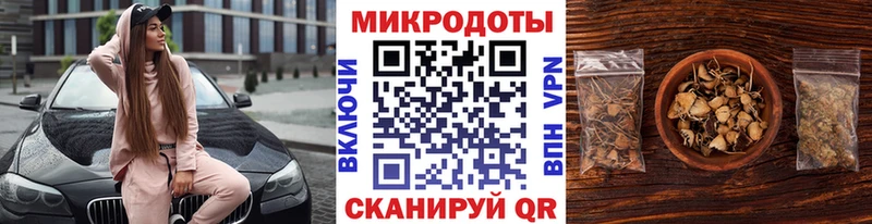 купить наркотик  Котлас  Галлюциногенные грибы Psilocybine cubensis 